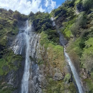 lasetenta